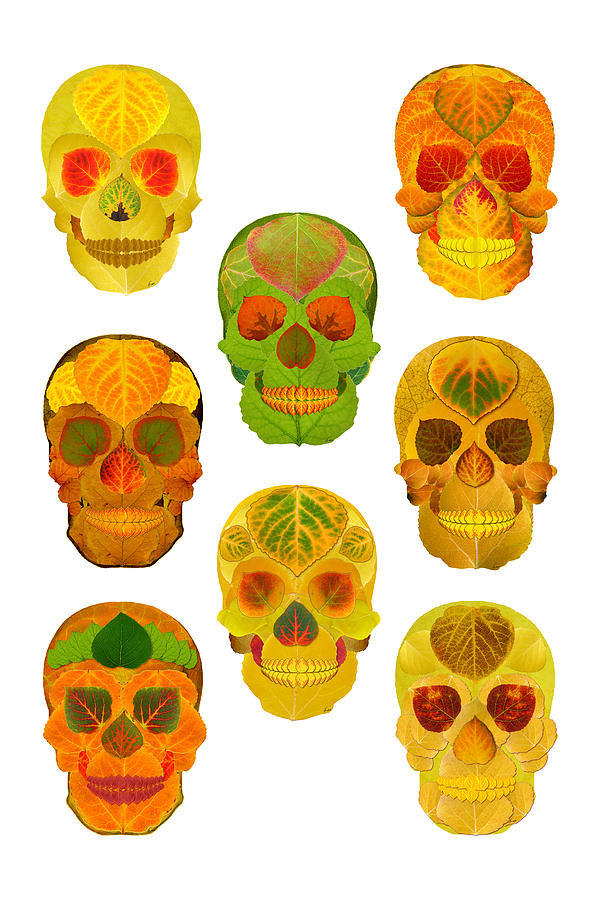 Aspen Leaf Skulls Poster 2014 Photograph by Agustin Goba