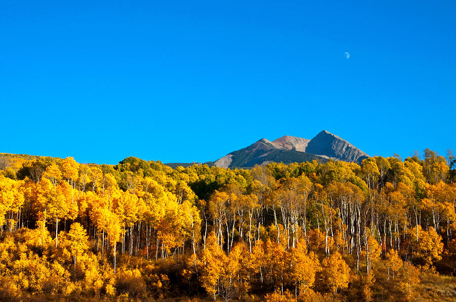 Aspen Moon Photograph by Eric Rundle