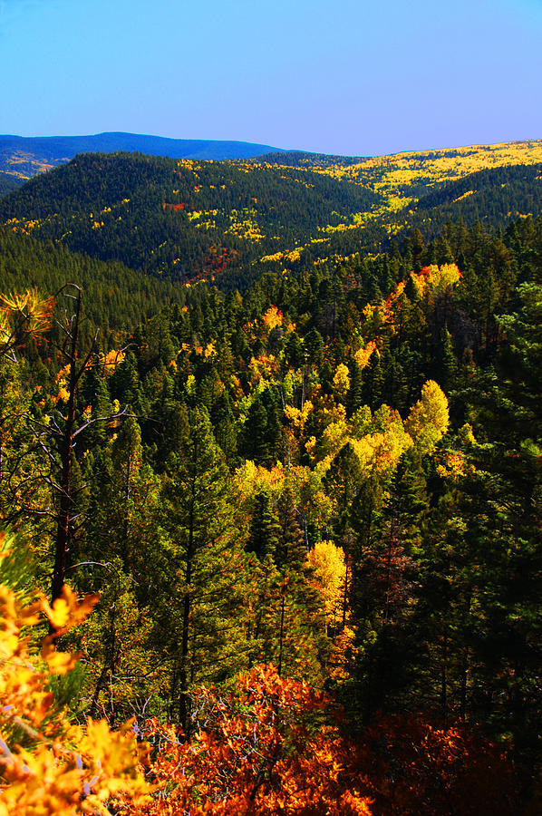 Aspen Mountains Photograph by Shirin McArthur - Pixels