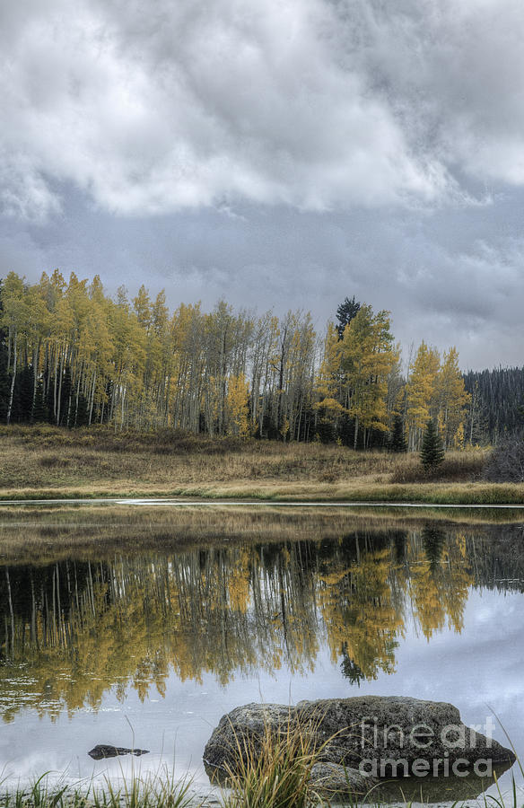 Aspen Reflection and Boulder Photograph by David Waldrop