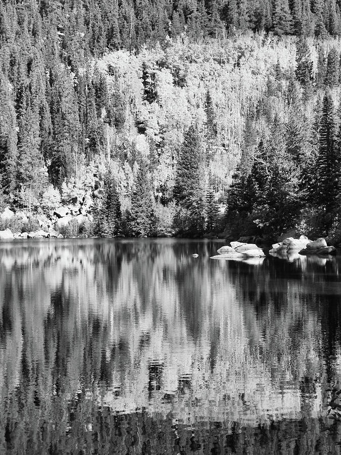 Aspen Reflections - Black and White Photograph by Harold Rau