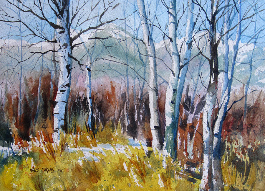 Watercolor Painting - Aspen Thicket by Kris Parins