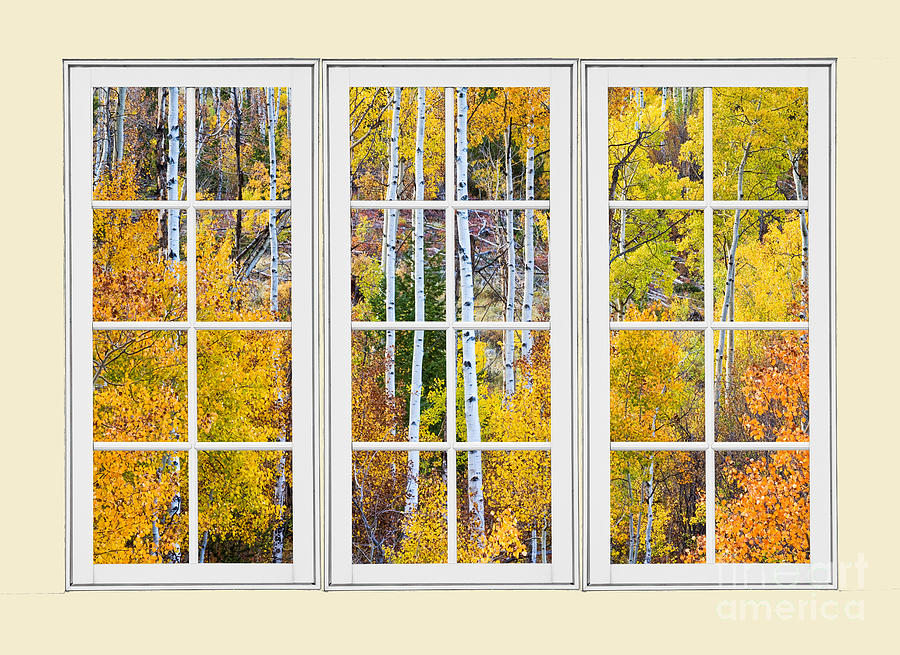 Tree Photograph - Aspen Tree Magic Cream Picture Window View 3 by James BO Insogna