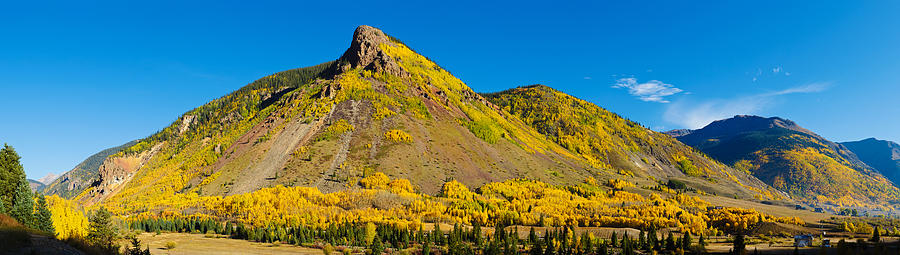 Nature Photograph - Aspen Trees On Mountain, Anvil by Panoramic Images