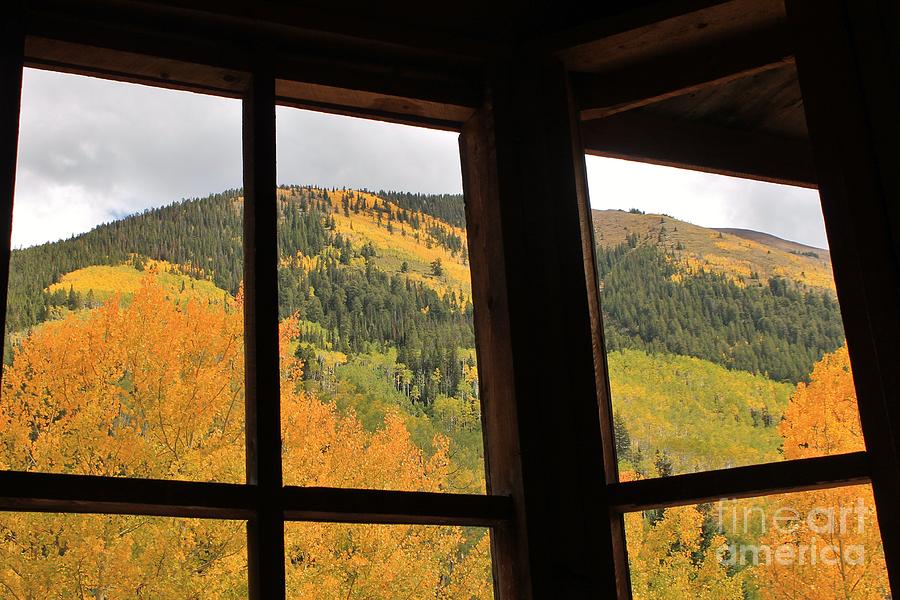 Aspen window view 3 Photograph by Tonya Hance