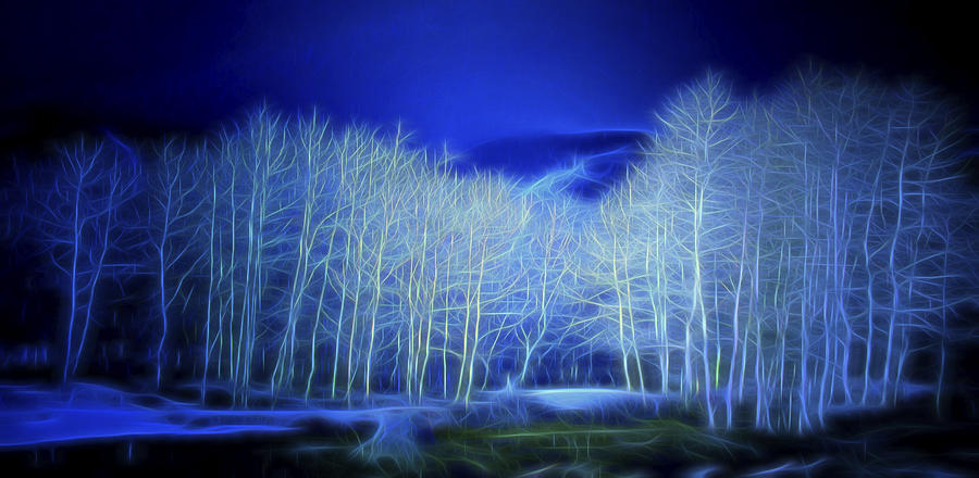 Aspens By Moonlight Digital Art by William Horden