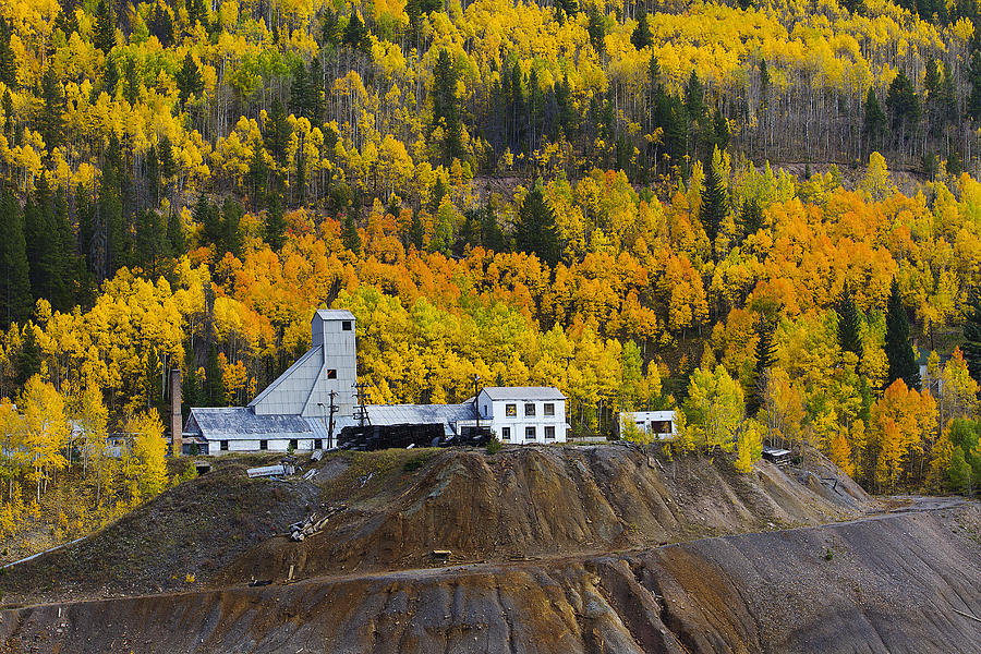 Aspens over mine Photograph by Lowell Monke Fine Art America