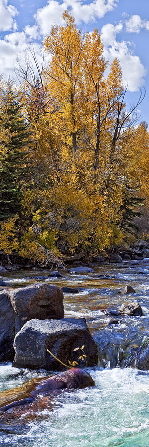 Fall Photograph - Aspens with Creek by Kelley King