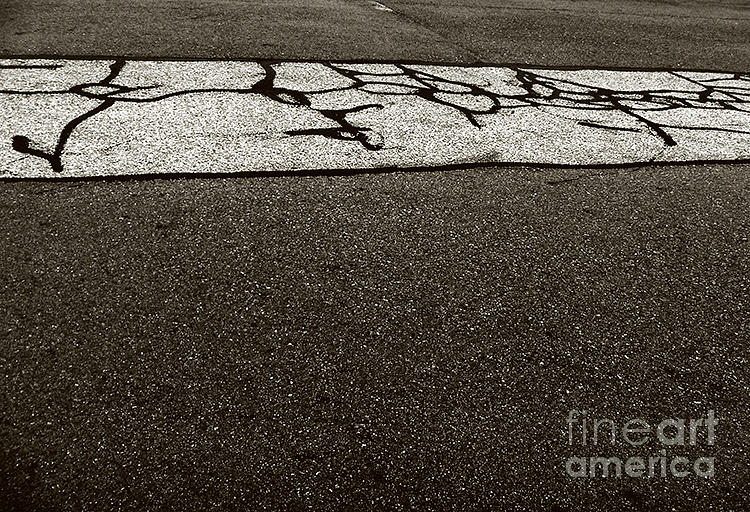 Abstract Photograph - Asphalt writing by Fei A