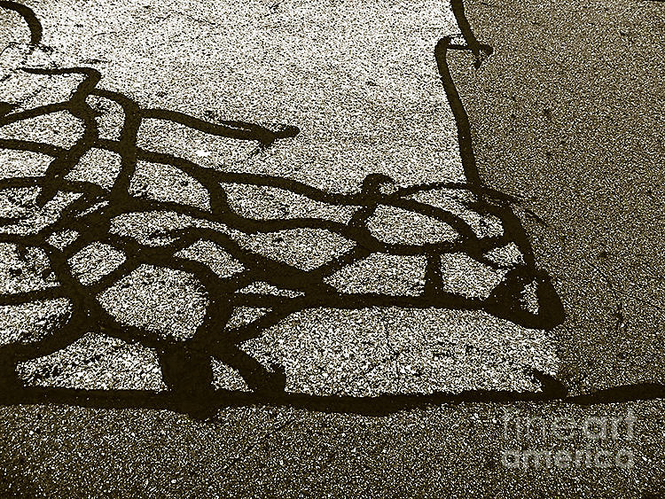 Asphalt company near me image