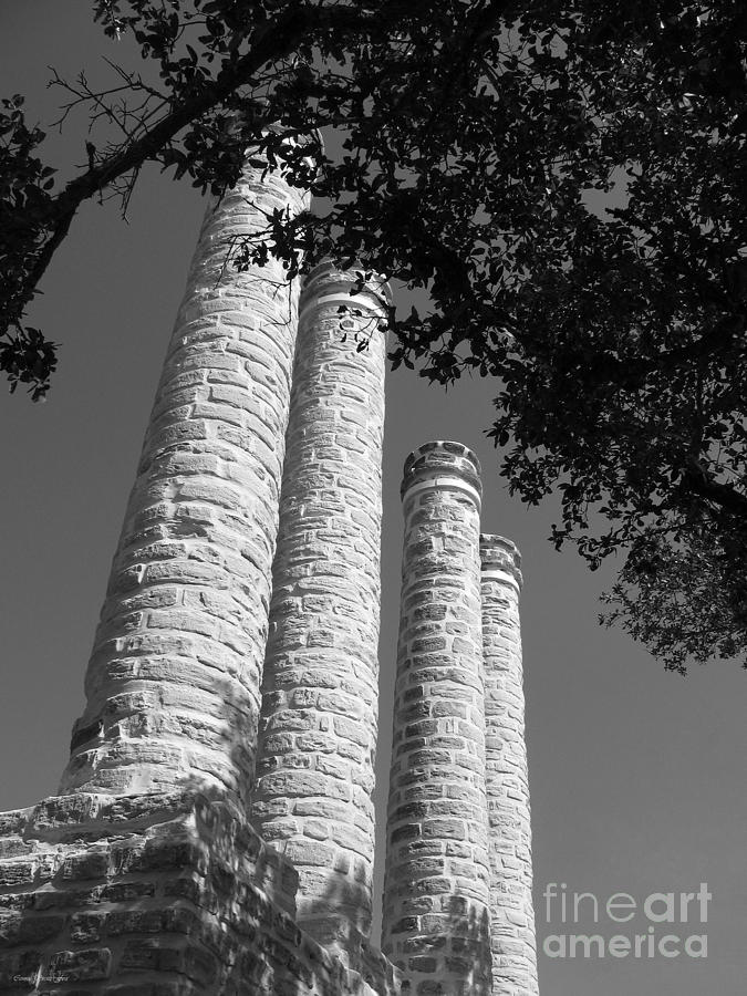 Aspirations. Baylor Female College Site Columns 1846-1886 BW. Photograph by Connie Fox