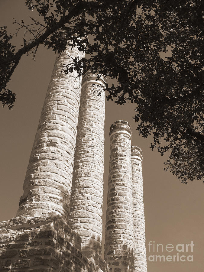 Aspirations. Baylor Female College Site Columns 1846-1886 BW Sepia  Photograph by Connie Fox