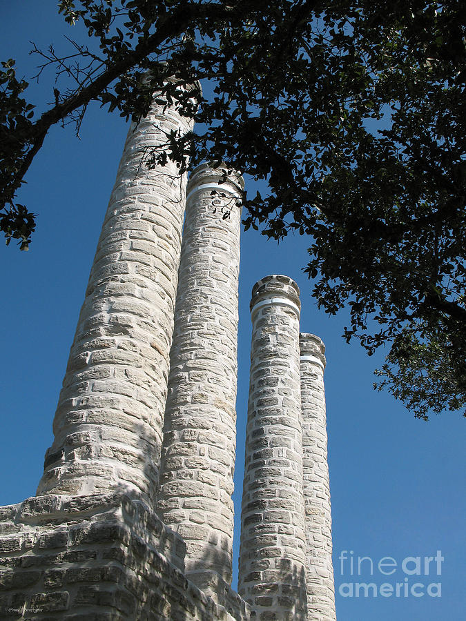 Aspirations. Baylor Female College Site Columns 1846-1886. Photograph by Connie Fox