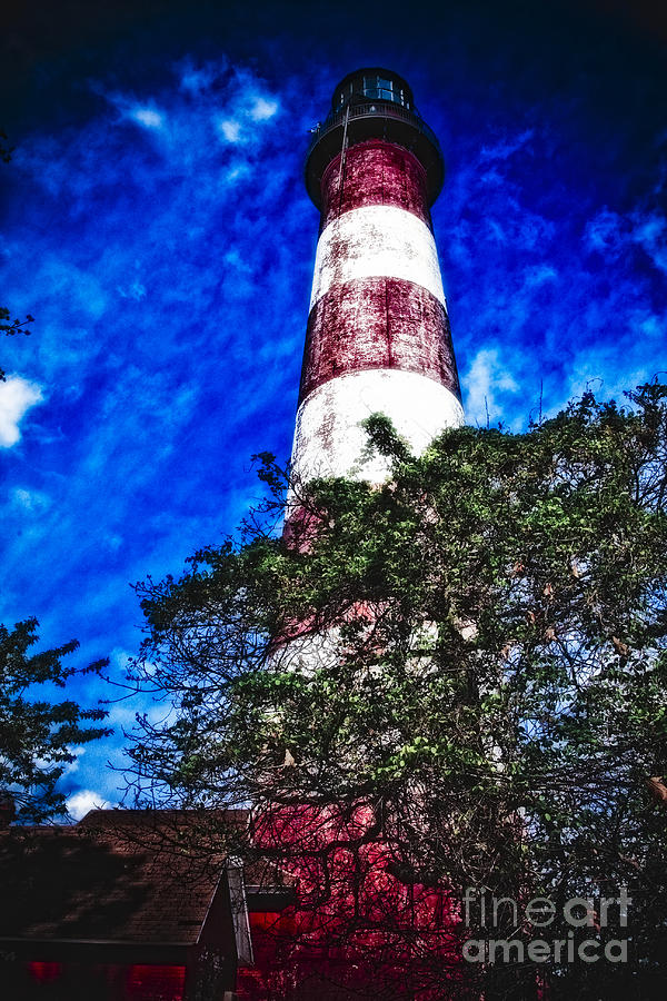 Assateague Lighthouse Virginia Photograph by Timothy Hacker