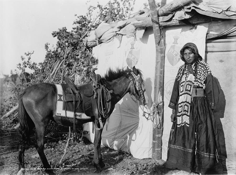 Assiniboin Girl, C1907 by Granger