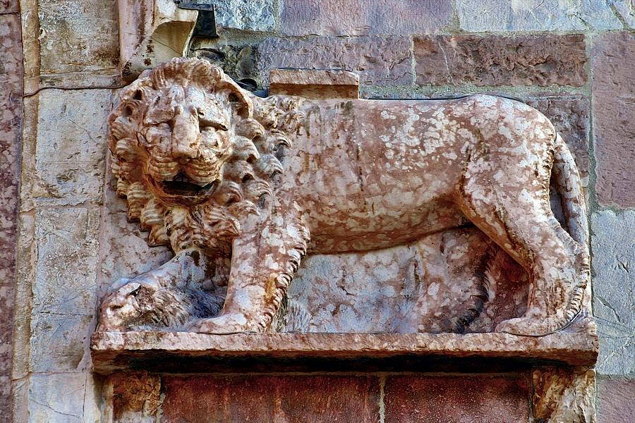 Assisi Lion Bas Relief Photograph by Henry Kowalski