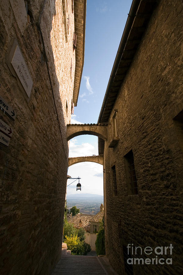 Assisi Photograph by Tim Holt Assisi Photograph by Tim Holt