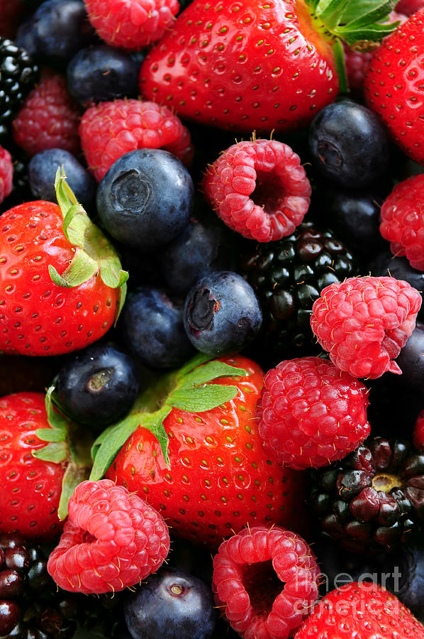 Strawberry Photograph - Assorted fresh berries 5 by Elena Elisseeva