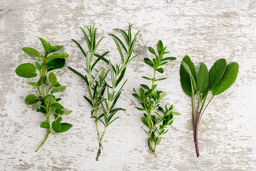 Lace Photograph - Assorted fresh Herbs by Nailia Schwarz