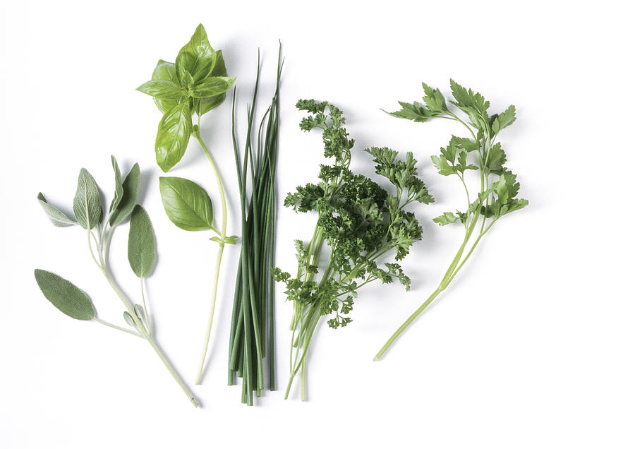 Assortment of fresh herbs Photograph by Isabelle Rozenbaum