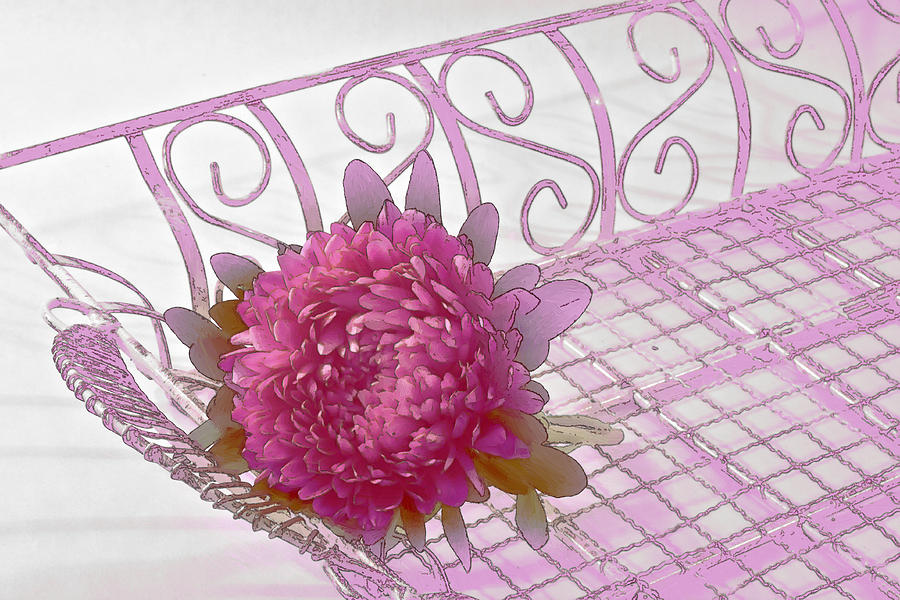 Aster Photograph - Aster In Tray - Digital Artwork by Sandra Foster