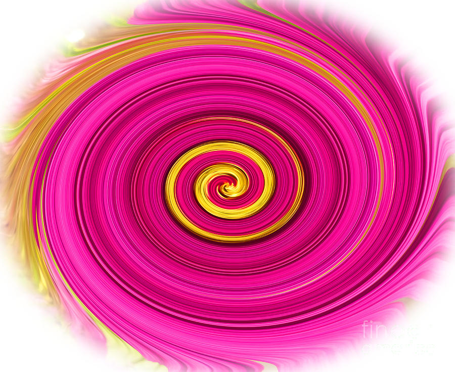 Abstract Photograph - Aster Twirl by Tina M Wenger