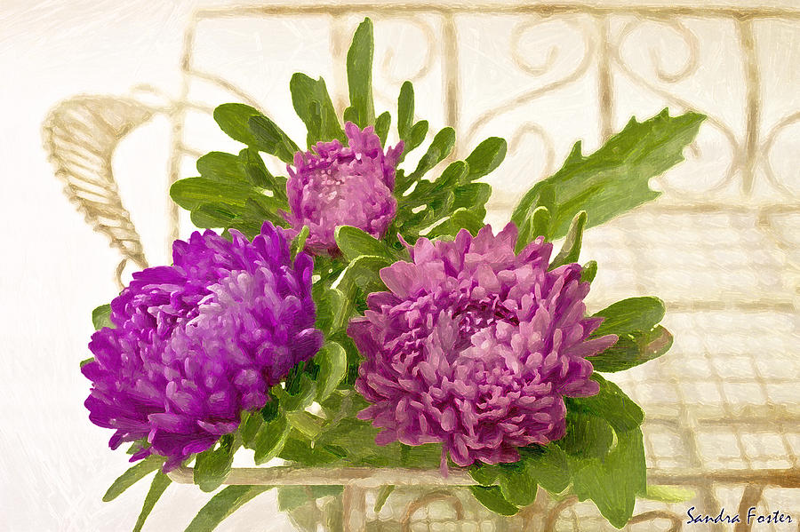 Asters In Tray - Digital Art Oil Painting Photograph by Sandra Foster