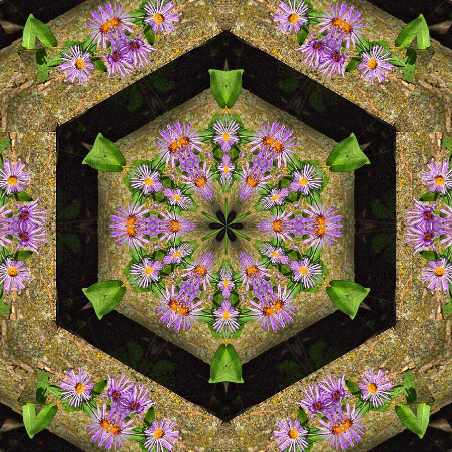 Asters on Wood Kaleidoscope Photograph by Valerie Kirkwood