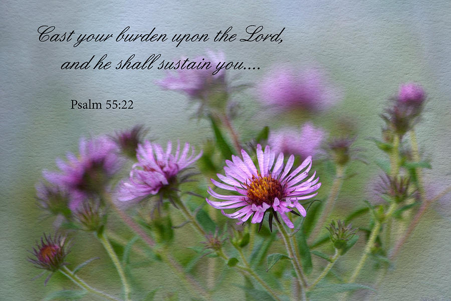Up Movie Photograph - Asters with Scripture by Ann Bridges