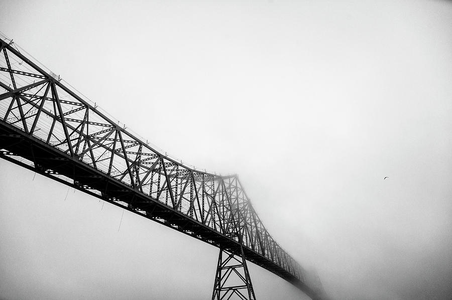 Astoria-megler Bridge And Seagull In Fog Photograph by Mike Hill
