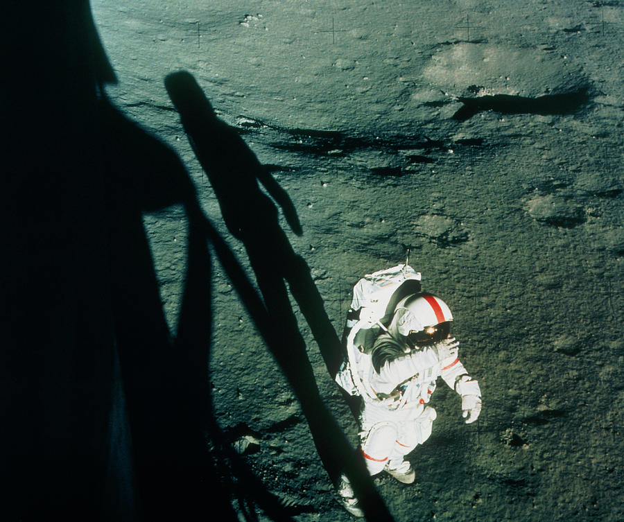 Space Photograph - Astronaut Shepard Next To Apollo 14 Lm On Moon by Nasa/science Photo Library