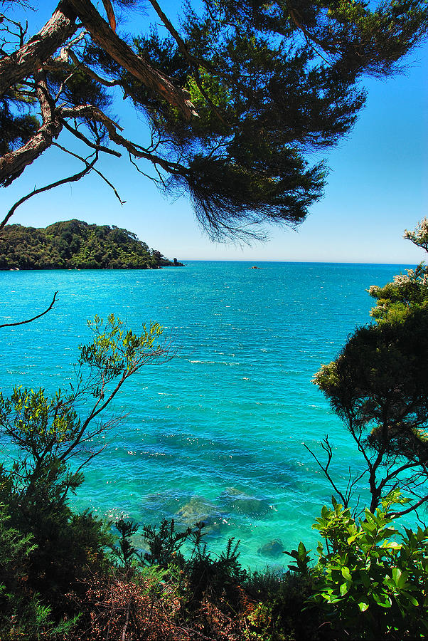 At Abel Tasman National Park Photograph by Andrei SKY