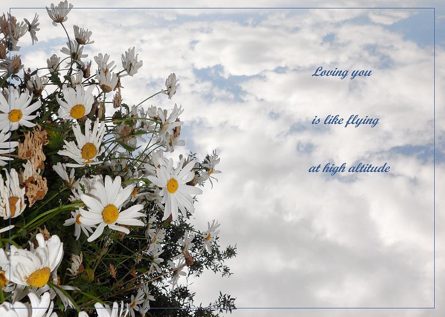 Flower Photograph - At high altitude card by Donatella Muggianu