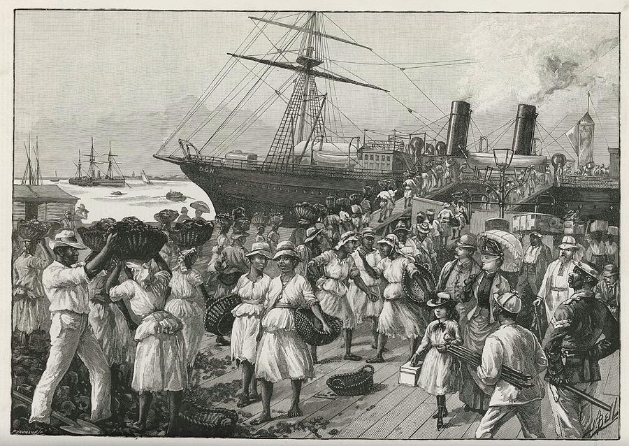 At Kingston, Jamaica (west Indies) Drawing by Illustrated London News ...