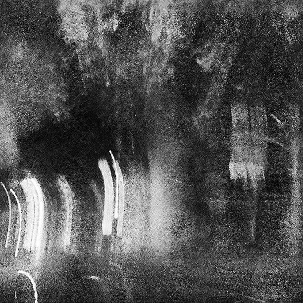 Abstract Photograph - At Nemi. #nightscape #trees #abstract by Lydia Gottardi