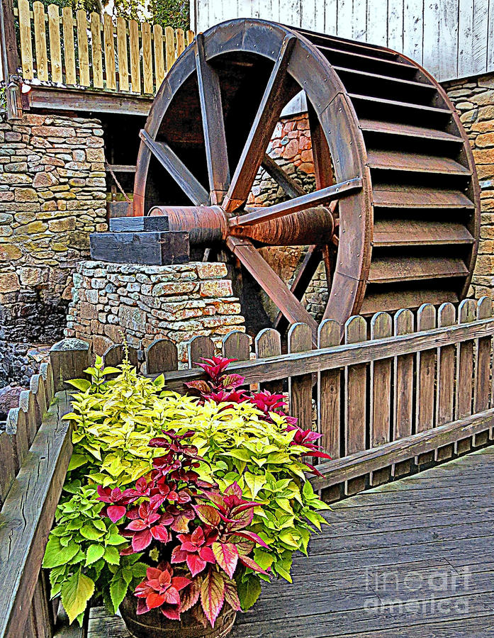 At Plimoth Grist Mill Photograph by Janice Drew