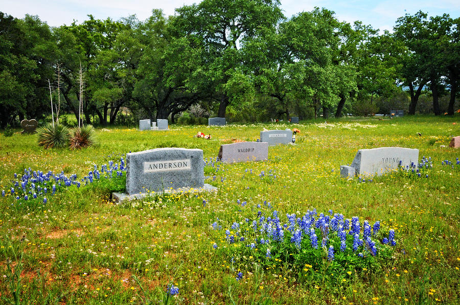At Rest in the Bluebonnets Photograph by Lynn Bauer