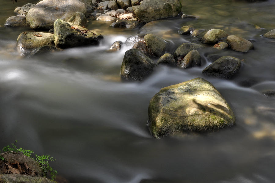 Water Photograph - At the Banias river 2 by Dubi Roman