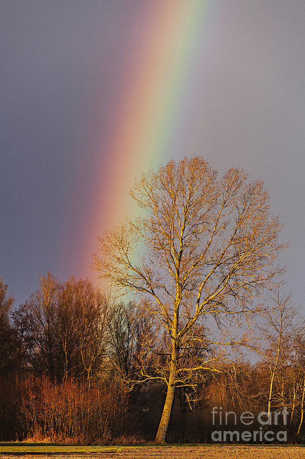 At the end of the rainbow Photograph by Casper Cammeraat