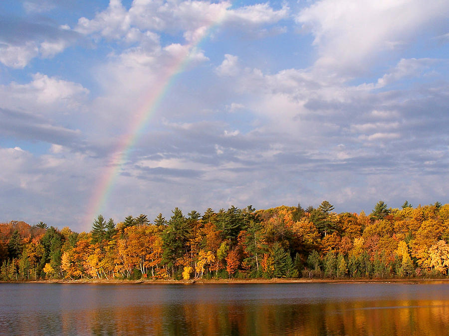 At the end of the Rainbow Photograph by Forest Floor Photography