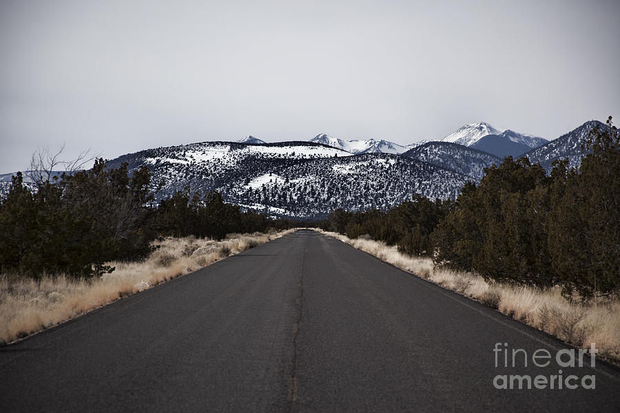 At the End of the Road -San Francisco Peaks V2 Photograph by Douglas Barnard