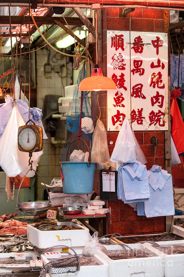 At the fish market - Hong Kong Photograph by Matteo Colombo