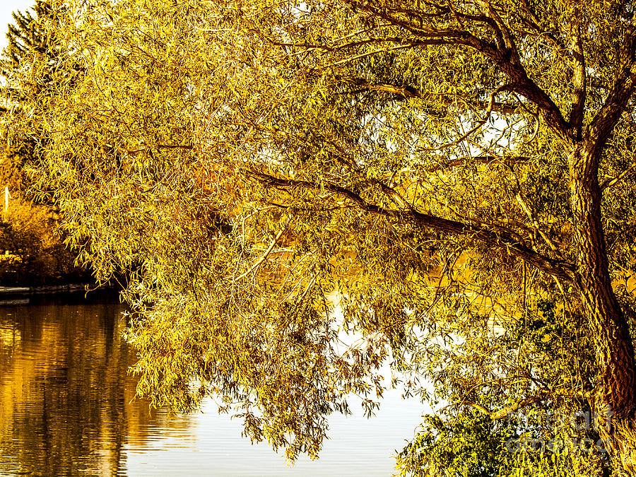 Fall Photograph - At the Lake -37 by David Fabian