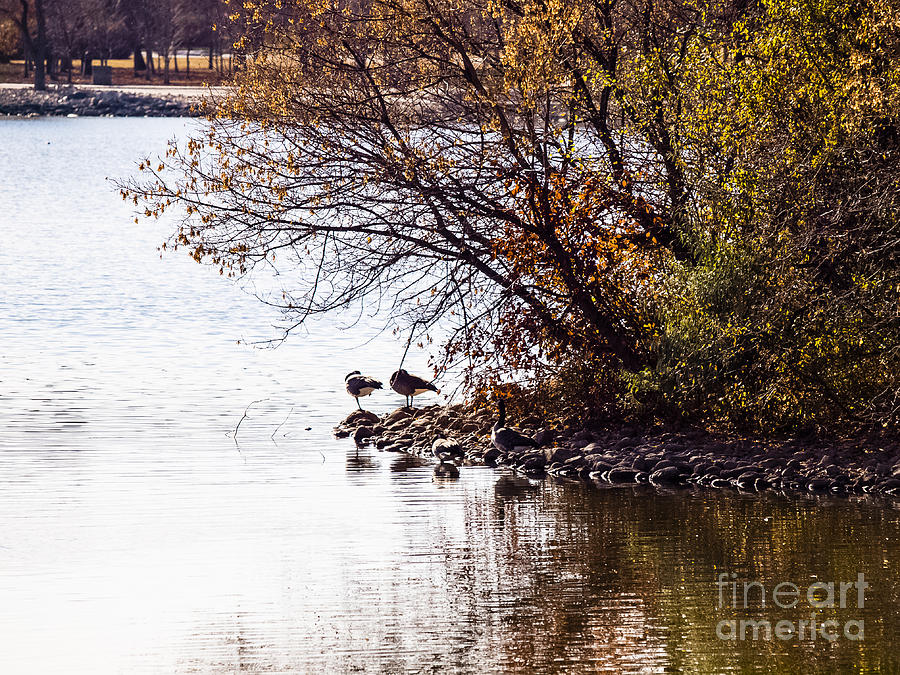Fall Photograph - At the Lake-38 by David Fabian