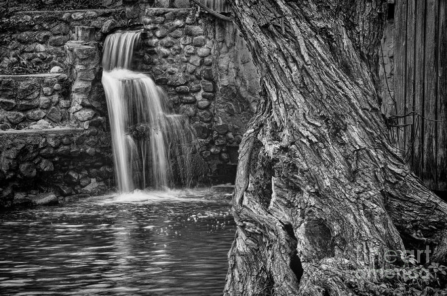 At the Mill Black and White Photograph by David Arment