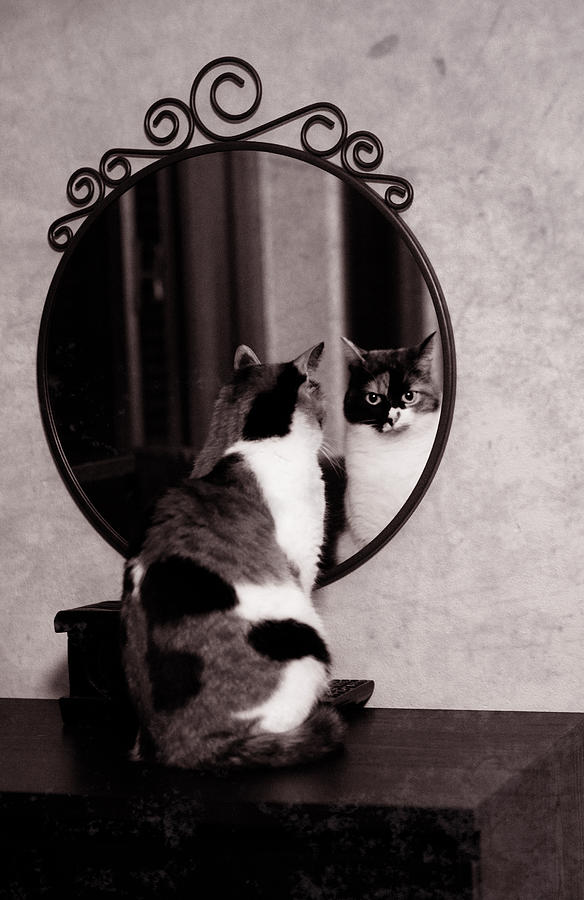 At the mirror Photograph by Laura Melis
