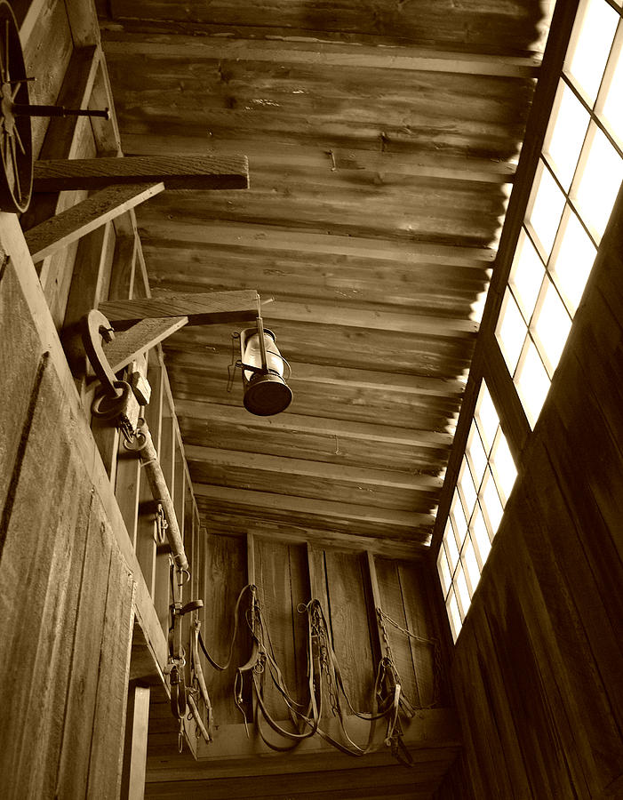 At the Museum - sepia Photograph by Marilyn Wilson