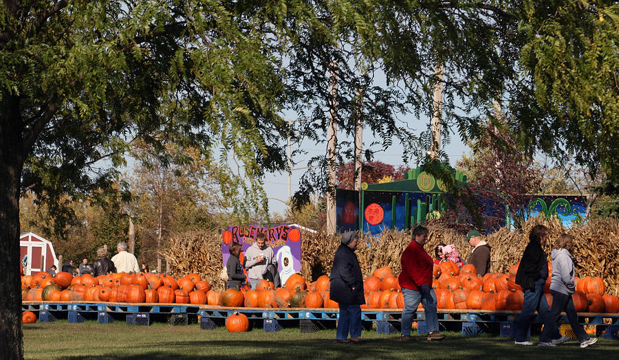 Fall Photograph - At The Pumpkin Farm by Kay Novy