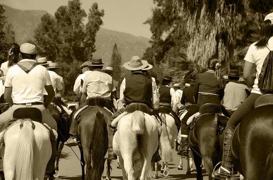 At the Romeria Photograph by Perry Van Munster