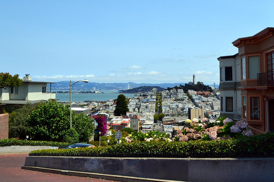 At the Top - Lombard Street Photograph by Michelle Calkins